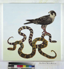 Peregrine Falcon Over King Snake, 2008, Mischtechnik auf Leinwand, 76,5 x 76,2 cm
