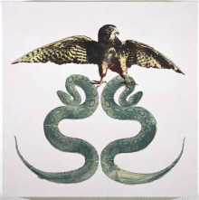Peregrine Falcon/Double Viper, 2008, Mischtechnik auf Leinwand, 81,3 x 81,3 cm