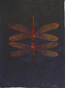 o.T., 2008, Ölpigment auf Papier, 53 x 36 cm