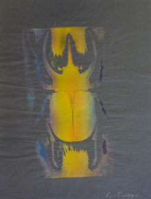 o.T., 2008, Ölpigment auf Papier, 68 x 46,5 cm