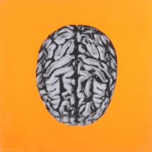 Gehirn, 1998, Siebdruck auf Leinwand, 80 x 80 cm