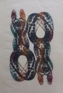 Vipera Ursini, Double, 1997, 73,6 x 53 cm, Ölpigment auf Papier