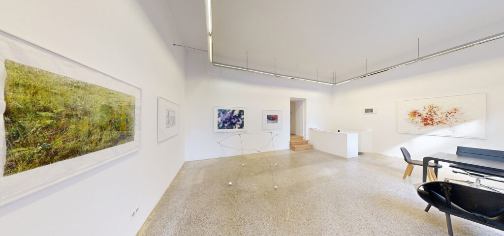 Ausstellung „wenn keine:r hinschaut“ von Martin Walde in der Galerie Rhomberg