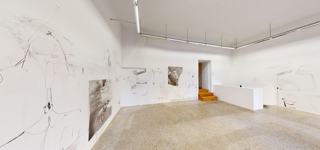 Ausstellung „Sisi und Susi“ von Sevda Chkoutova in der Galerie Rhomberg