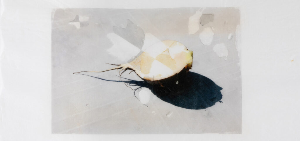 „Birne“ von Martin Walde